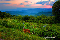 Blue Ridge Mountain landscape photo